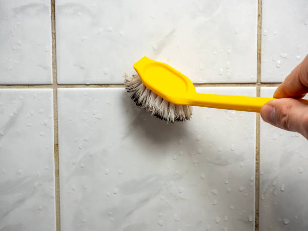 Best Black Mold Removal  in Glendale, AZ