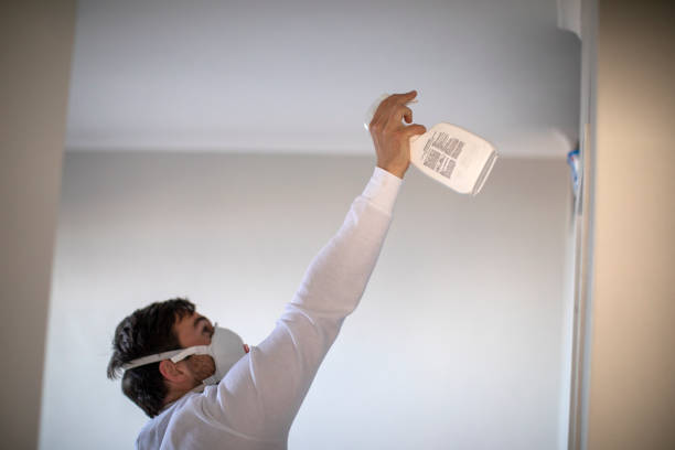 Best Commercial Mold Removal  in Glendale, AZ